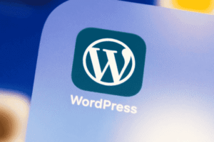 Best Hosting, Best WordPress Hosting Providers in India, WordPress Hosting India, WordPress Hosting in India, WordPress Hosting, fast hosting, India hosting, Web Hosting, WordPress hosting