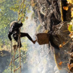 Himalayan Mad Honey