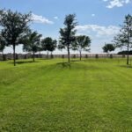 commercial lawn care services