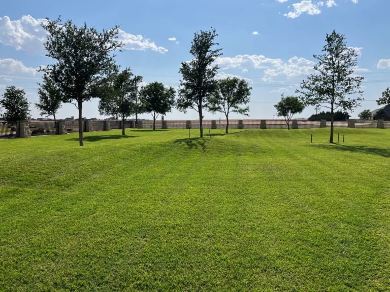 commercial lawn care services