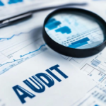 site audit check
