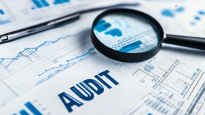 site audit check