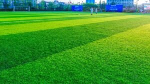 How Do I Find A Reliable Artificial Turf Hire Company In Australia