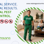 best pest control companies in San Diego