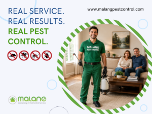 best pest control companies in San Diego