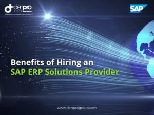 SAP ERP Solutions Provider in India