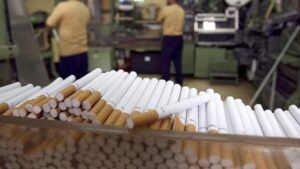 Cigarette Manufacturing Plant Setup