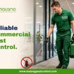 rat control in Orange County