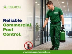rat control in Orange County
