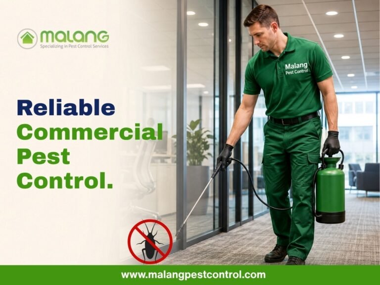 rat control in Orange County